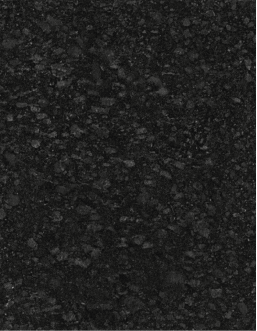 Majestic Black Lapotra