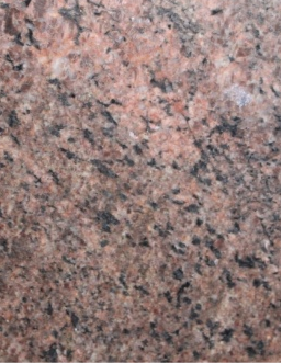 Multi (Chittur multi)